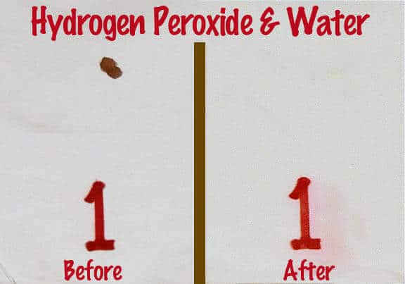 Hydrogen Peroxide & Water Blood Spot Removal Test