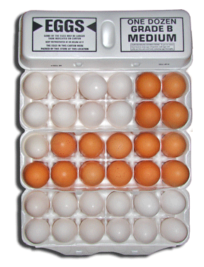 Four dozen grade b egg cartons with white and brown eggs. Actually they are Grade A eggs that have been discounted.