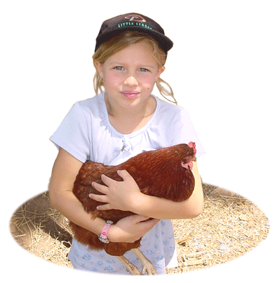 A young girl holding a chicken in her backyard.