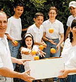 Economides Family picking citrus in their orchard.