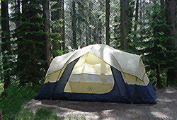 A large family tent pitched in the forest.