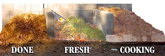 Organic Food on a Budget: 12 Secrets to Save Money and Eat Healthily 11 3 compost piles - done, cooking, fresh.