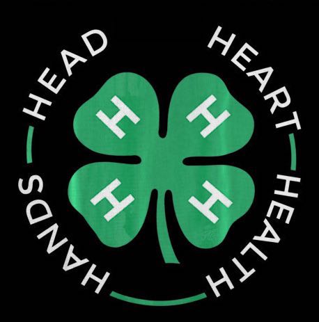 22 Community Youth Groups That Build Integrity and Character 5 4H logo Head heart hands Health