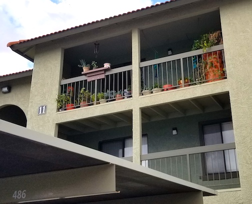 Apartment balcony garden.