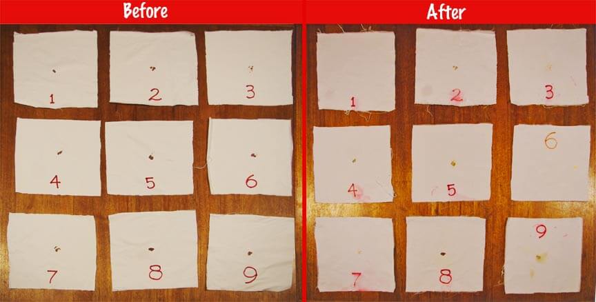 How to Get Dried Blood Out of Sheets: 11 Tested Solutions to Remove Stains 2 Before and After shots of getting blood out of tested sheet pieces.