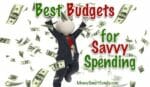 Best Budgets for Families - a man jumping for joy in falling money.
