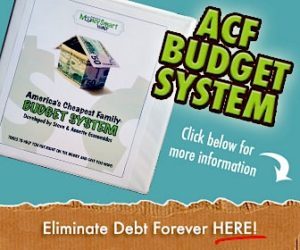 ACF Budget System ad.