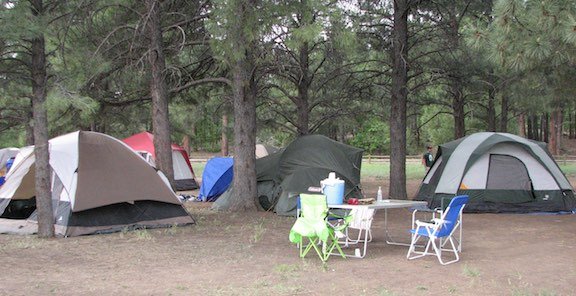 59 Fun, Inexpensive & Interesting Hobbies 3 Camping tents set up in the forest. #InterestingHobby #Camping #TentCamping