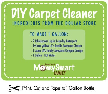 DIY Carpet Cleaner recipe - Rug Doctor Copycat.