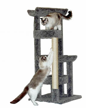 A grey cat tree with two cats next to it scratching.