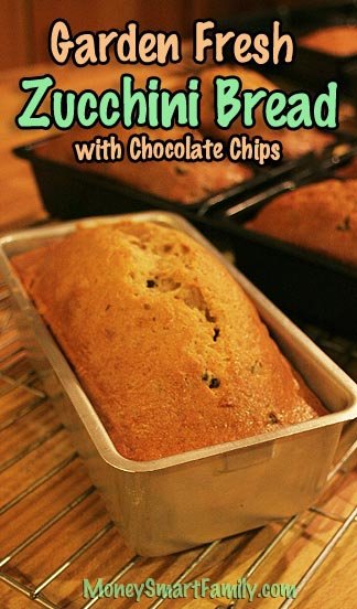 12 Easy Bread Recipes - Round-Up Page 2 Zuchini Bread Recipe
- Several loaves of fresh zucchini bread with chocolate chips sitting in silver and black metal loaf pans.