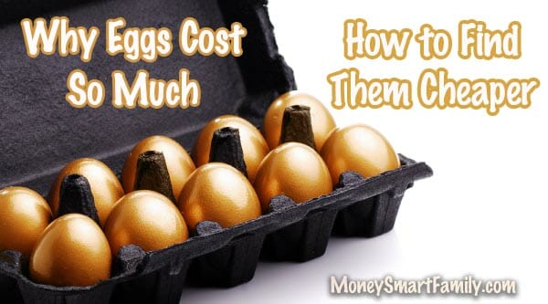 Why Eggs Cost So Much and How to Buy them Cheaper