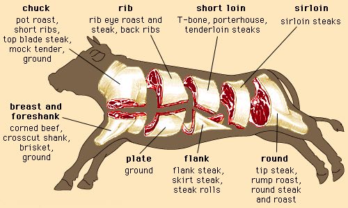 Cuts of meat from a cow diagram for arby's roast beef.