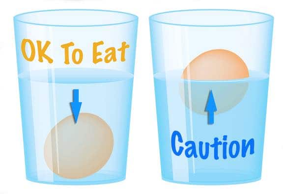 How Long Can Fresh Store Bought Eggs Be Left Unrefrigerated? 4 Egg Float Test - brown eggs in a glass of water
