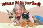 Pets for Kids: 8 Different choices for Your Family!