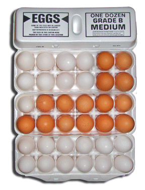 Grade B Eggs - How to Save on Buying Eggs at the Grocery Store 4 Four dozen grade b egg cartons with white and brown eggs. Actually they are Grade A eggs that have been discounted.
