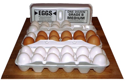 Grade B Eggs - How to Save on Buying Eggs at the Grocery Store 3 Three cartons of grade b eggs from Kroger, in white styrofoam egg cartons.