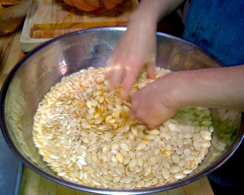 IMG_20130206_135658-PumpkinSeedsInBrine500px A large silver bowl filled with brine and pumpkin seeds being stirred by hand.
