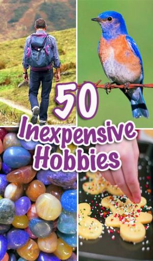 59 Fun, Inexpensive & Interesting Hobbies 7 Inexpensive Hobbies that are Fun and Rewarding.