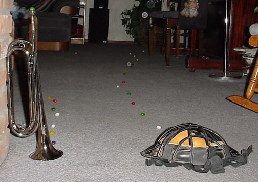 Fun Family Tradition Examples: For the Holidays and The Whole Year 6 A jellybean trail started by a trumpet and a catchers mask.