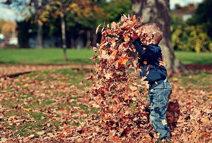 A young boy standing in a leaf pile throwing leaves in the air.