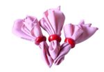 Pink napkins with red napkin rings