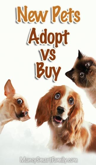 Should You Adopt a Pet or Buy One? Pet Costs & Finding One 2 Should You Adopt a Pet Rather than Buy One? Here's costs of pet ownership and where to adopt one!