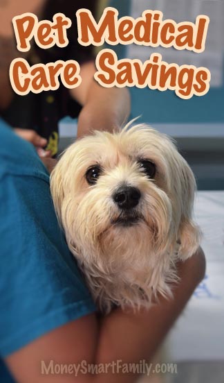 Pet medical care savings. Money Saving Tips for your dog or cat.