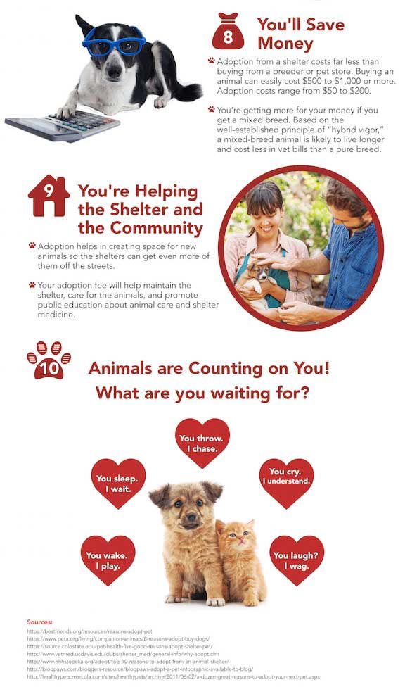 Should You Adopt a Pet or Buy One? Pet Costs & Finding One 5 Pet Rescue Infographic 3 - Save money and help a shelter