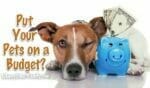 Pets on a budget - Why you should have them & how much they cost. #PetsBudget #PetsSick #PetsTime