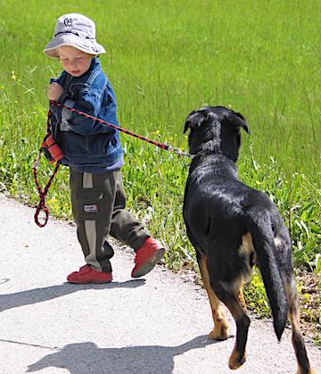 Pets on a Budget - Ultimate Guide to Caring For Pets for Less 2 A young boy walking a dog.