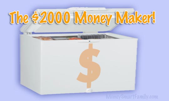 Surviving Grocery Inflation! How to Shop Smarter and Save When Prices Skyrocket 3 You won't believe how much money a freezer save your family on grocery purchases! It's amazing!