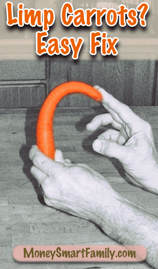 The Secret Fix: How to Rehydrate Droopy Limp Carrots 2 A Terrific Limp Carrot Fix!
