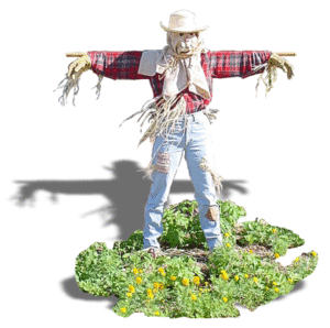 10 DIY Non-Scary Halloween Costumes that are Easy, Cheap & Fast 8 A person dressed in a scare crow costume for Halloween.