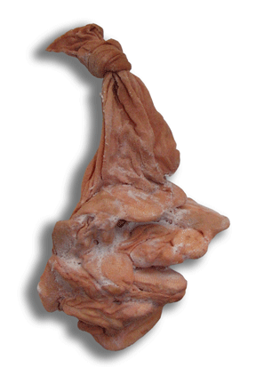 Personal Care Items - Money-Saving Tips 6 A Nylon Stocking with shards of bar soap