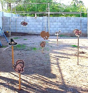 16 Fun Thanksgiving Activities for Adults and Kids 3 Thanksgiving turkey shoot targets on wooden stakes.