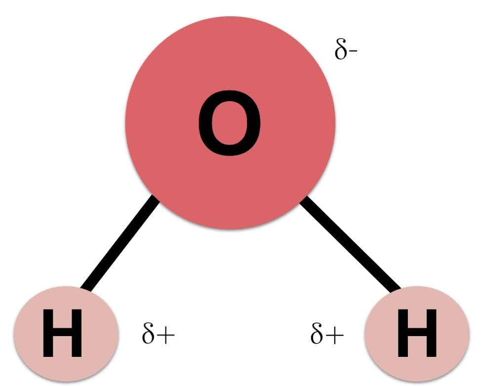 Water Molocule - 2 atoms of hydrogen and one atom of oxygen