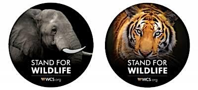 Wildlife Conservation free sticker samples.