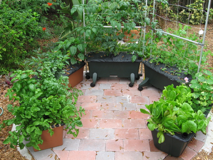 4 Earthbox rolling garden beds on a patio.