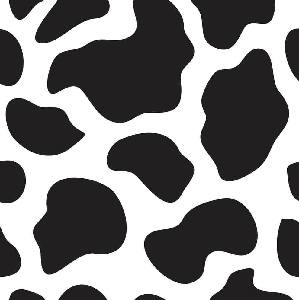 Printable Cow Spots Printable Word Searches
