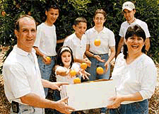 Family Date Night Ideas That Are Creative, Fun and Cheap 2 Economides Family picking citrus in their orchard.
