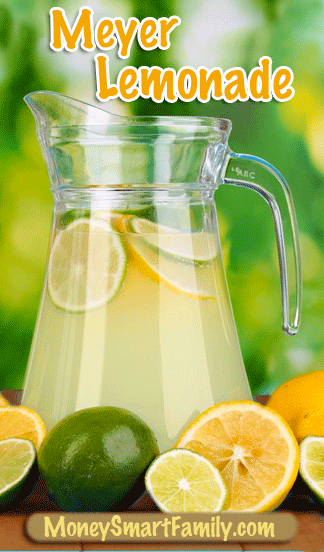 Meyer Lemonade Recipe - Delicious & Refreshing #Lemonade #MeyerLemonade